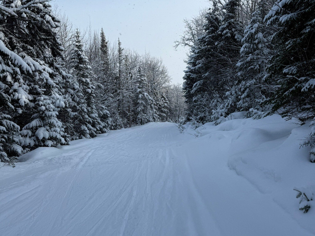 Le Massif de Charlevoix-Petite-Riviere-Saint-Francois必去景点