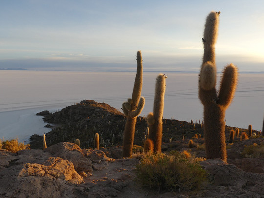 La Torre Tours-Tupiza必去景点