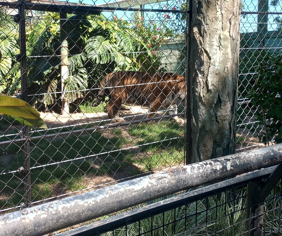 Zoo Pomerode-Pomerode必去景点