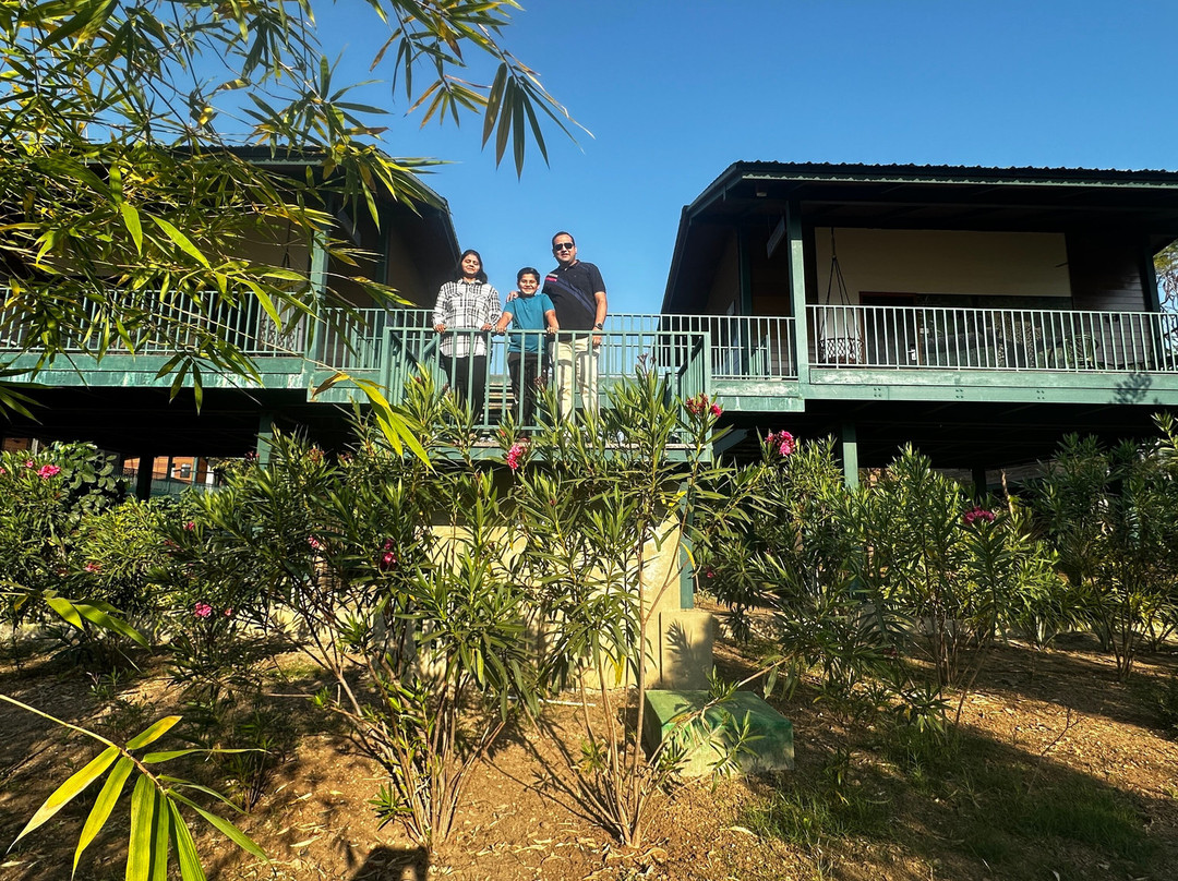 Tathastu Tadoba主图