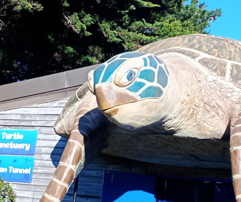 Weymouth SEA LIFE Adventure Park-韦茅斯必去景点