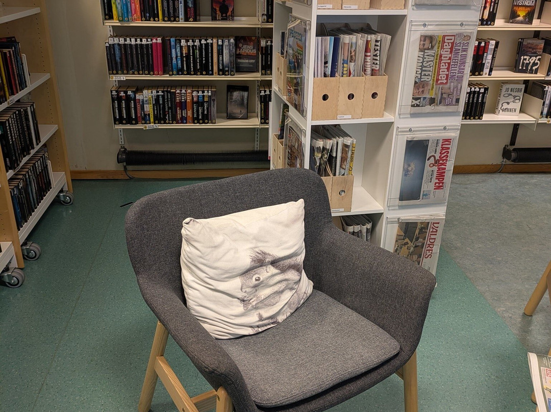 Nord-Aurdal folkebibliotek-Fagernes必去景点