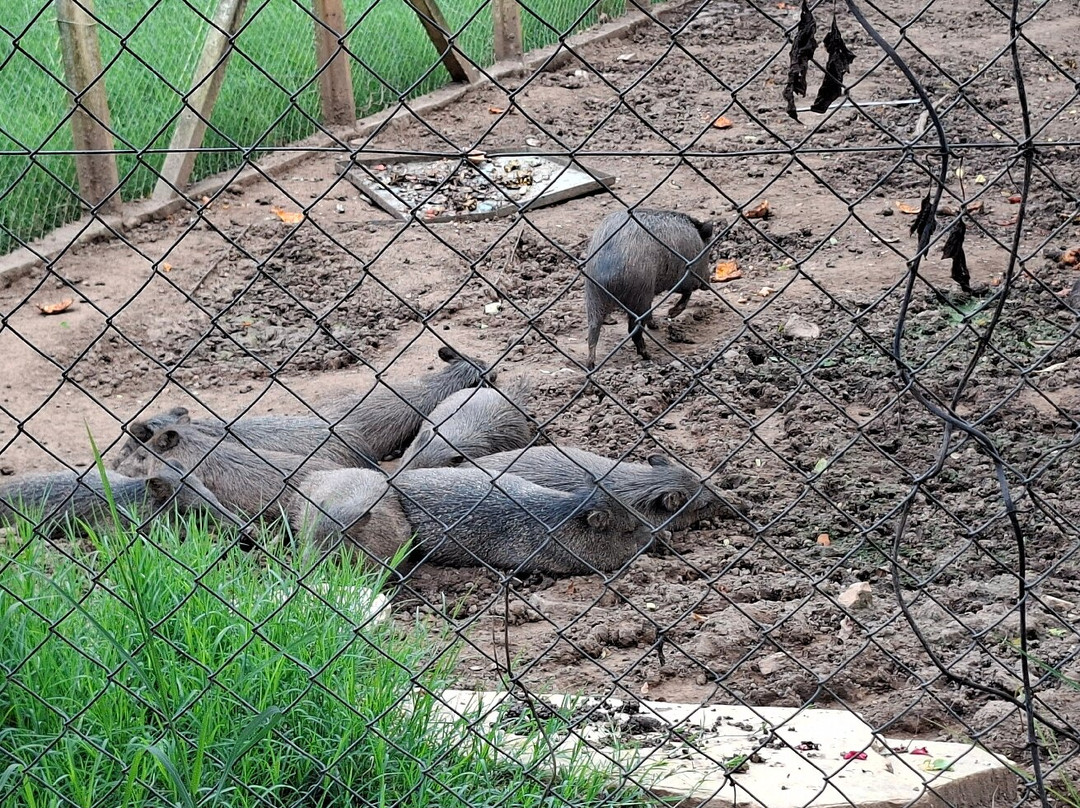 Zoológico de Varginha-Varginha必去景点