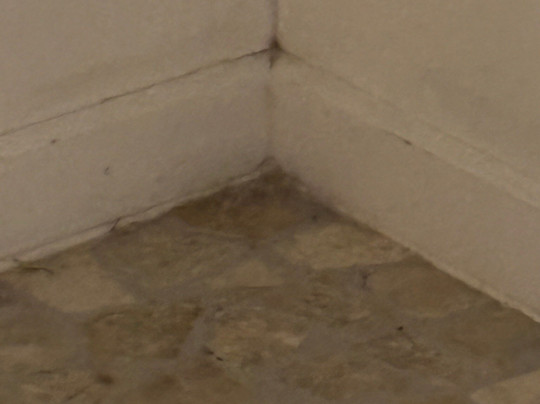 Waiheke Island Resort主图