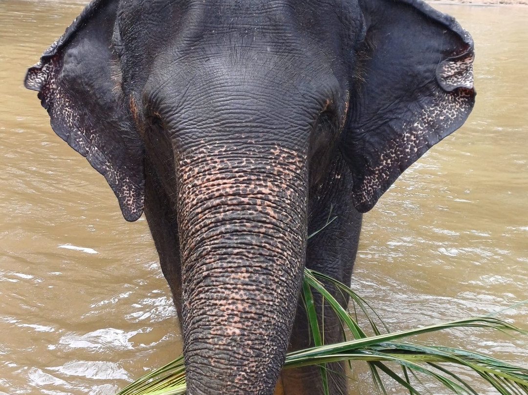 Thush Tours Sri Lanka-班托塔必去景点