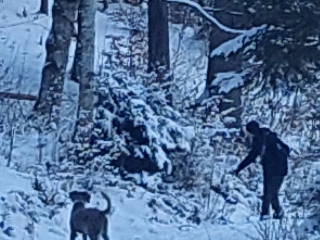 Oedensee-泉奥西必去景点