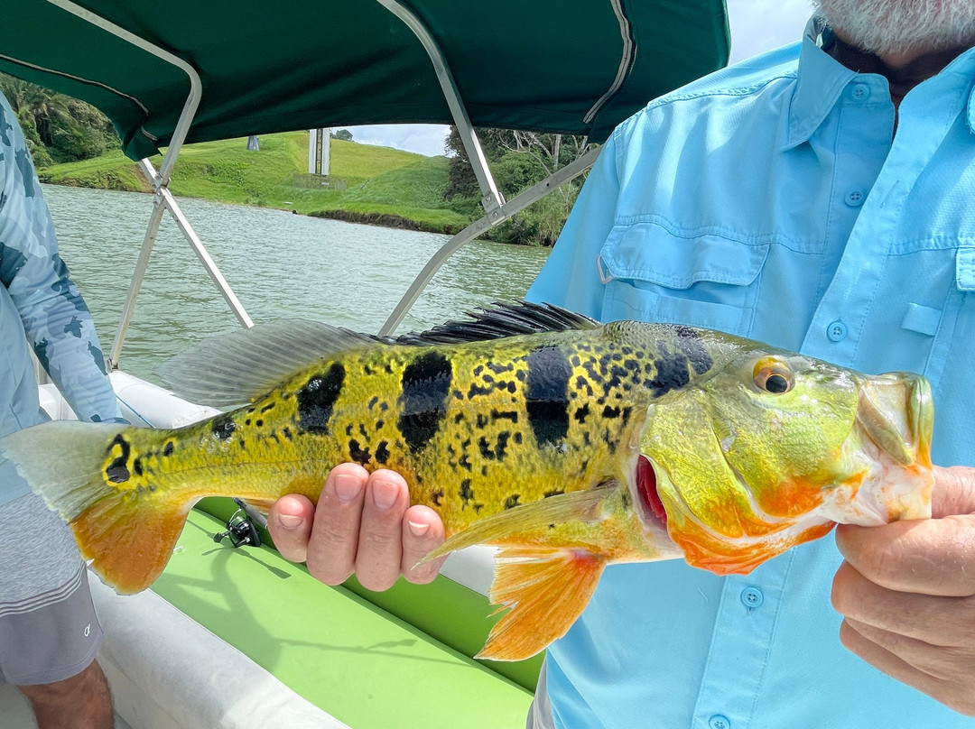 Panama Canal Fishing-巴拿马城必去景点