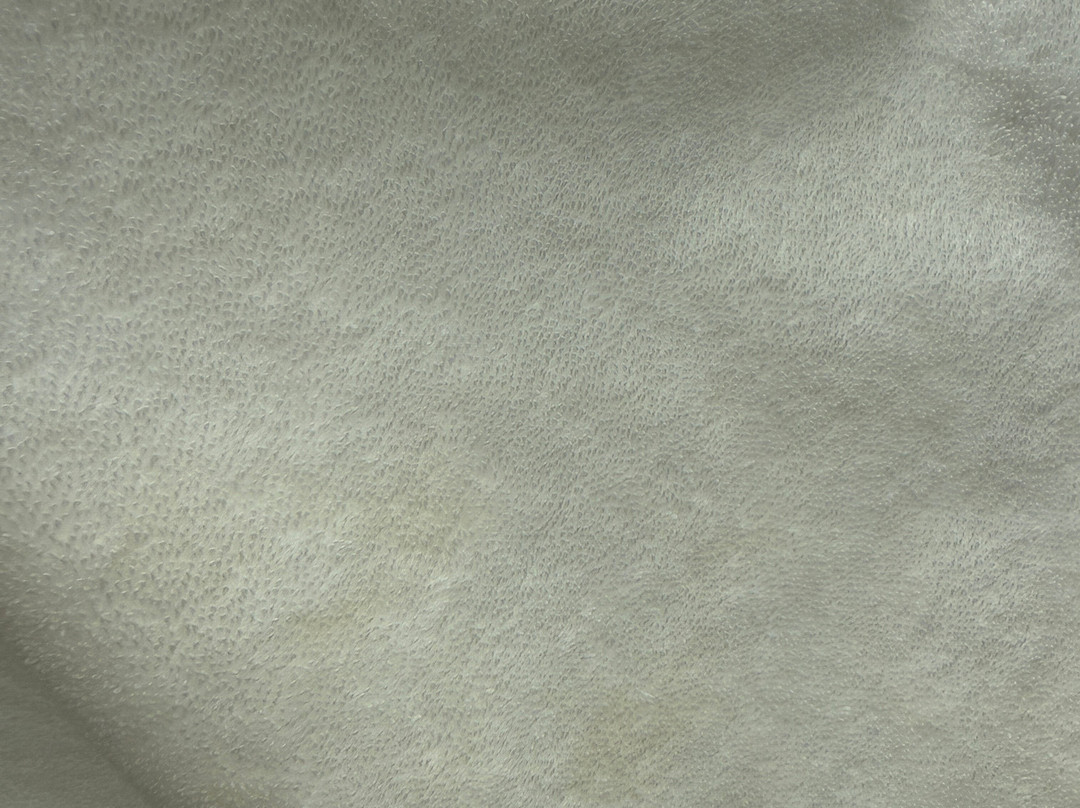 普莱森特希尔凯悦酒店主图