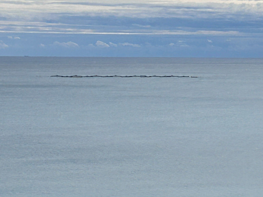 Altea Beach-阿尔特阿必去景点