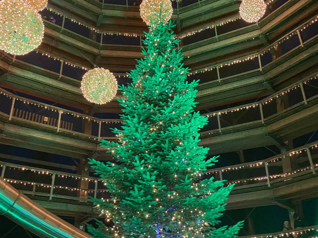 Treetop Walk Avondale-Rathdrum必去景点