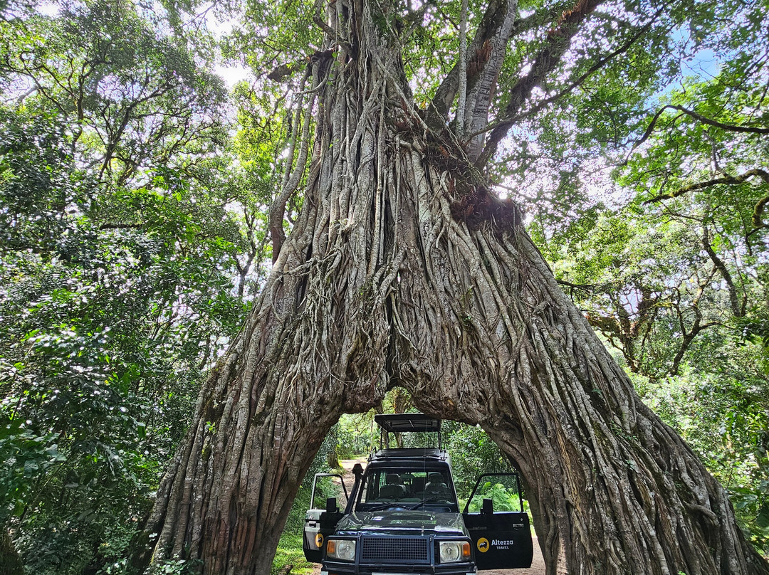 Altezza Travel-莫西必去景点