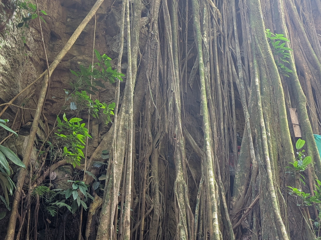 Catarata Del Toro-Bajos del Toro必去景点