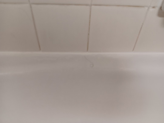 Ramada by Wyndham Cedar City主图