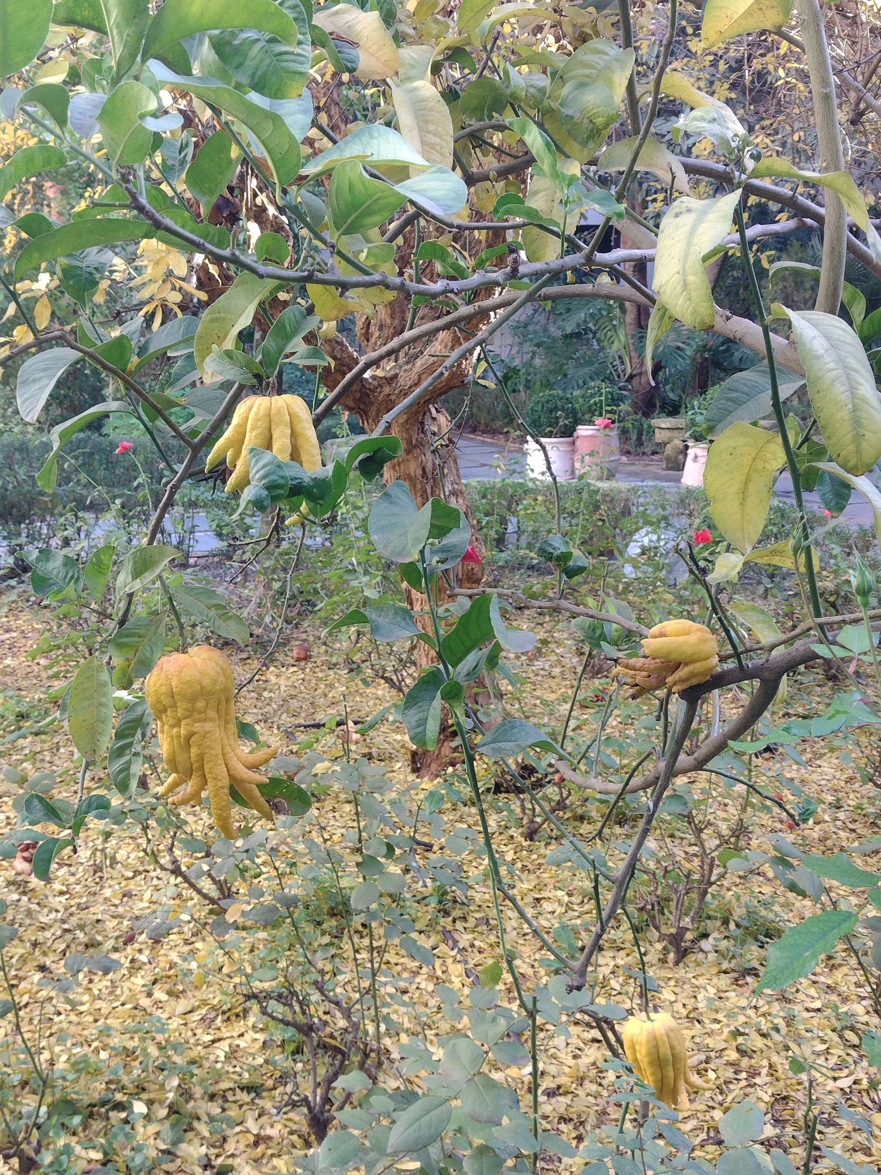 柏丽奥宫酒店-官方