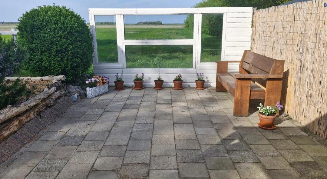 The Shed