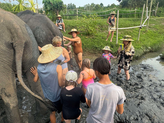 Thai Town of Elephant  Krabi-Nong Thale必去景点