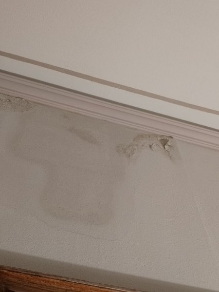 柏合塔别墅度假村-官方