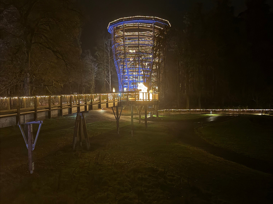 Treetop Walk Avondale-Rathdrum必去景点