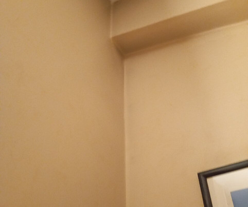 Hotel Cristoforo Colombo主图