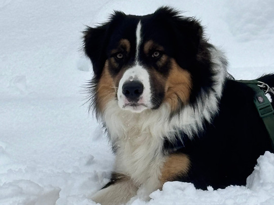 Hotel Togo Palace主图