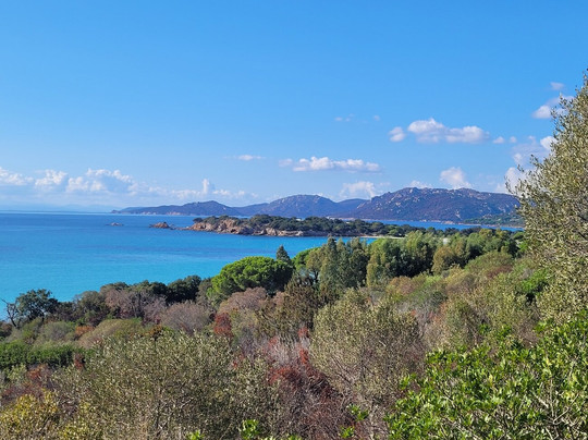 Plage de Tamaricciu-维琪奥港必去景点