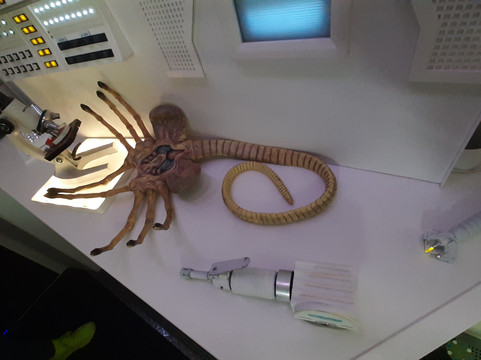 Museo Alien-巴塞罗那必去景点