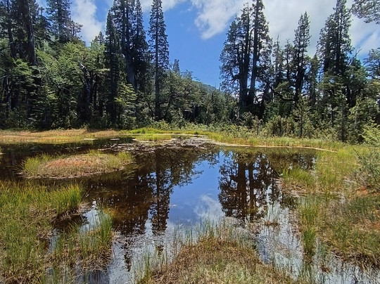 Parque Llenquimau-Puelo必去景点