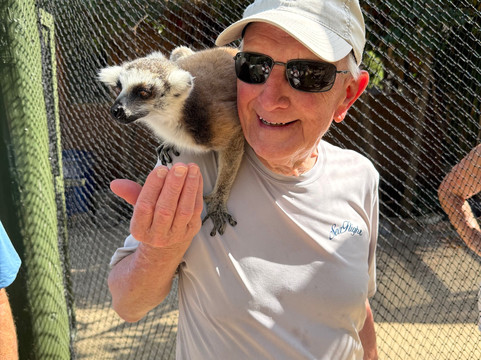 Virgin Charter Yachts-托土拉必去景点