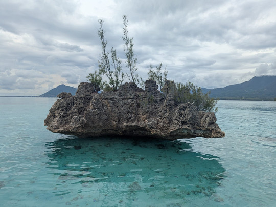 Dadou Excursion-阿尔比恩必去景点