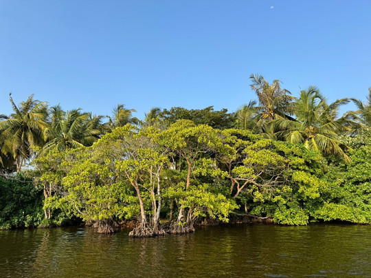 Mirissa Eco Lagoon Safari-美蕊沙必去景点