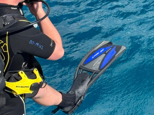 Dive Oahu-火奴鲁鲁必去景点