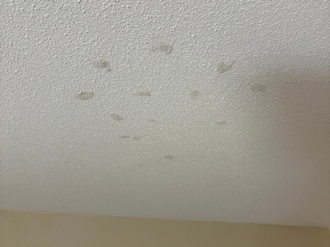 蒂明斯参议员酒店及会议中心主图