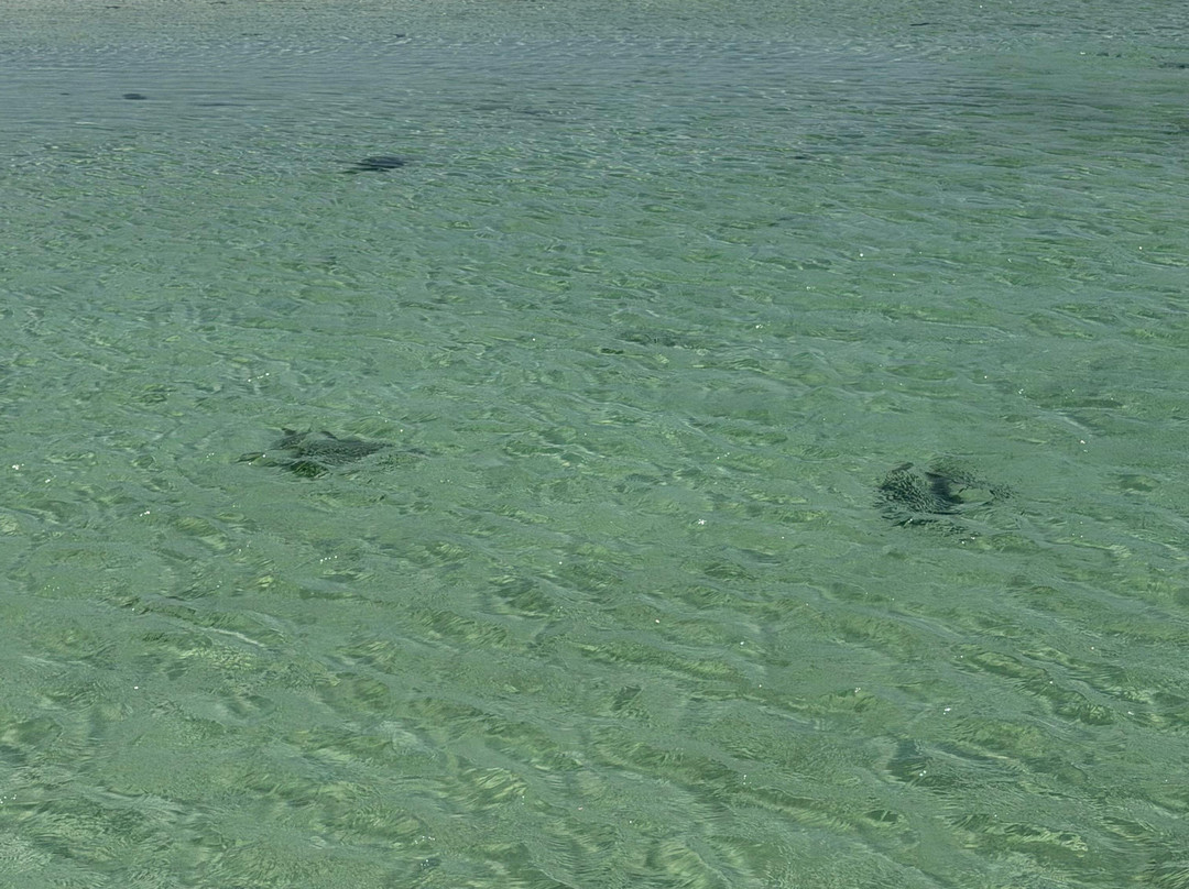 Kenya Safari Explore-瓦塔木必去景点