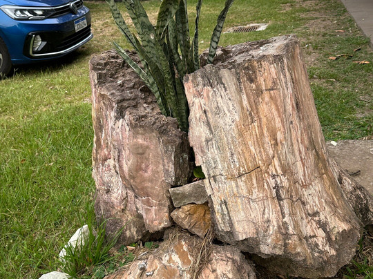 CAPPA-Centro de Apoio à Pesquisa Paleontológica da Quarta Colônia-Sao Joao do Polesine必去景点