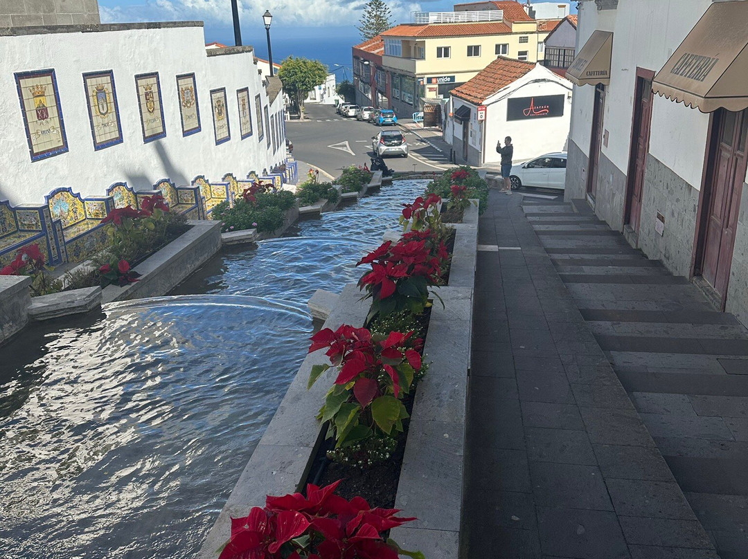 Paseo de Canarias-Firgas必去景点