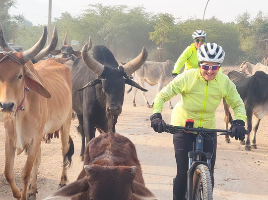Cycling in India-新德里必去景点