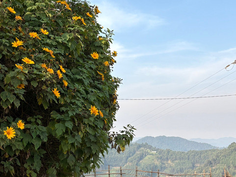 Piece of Uganda Safaris-恩德培必去景点