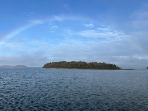 Birds Of Poole Harbour Events-普尔必去景点