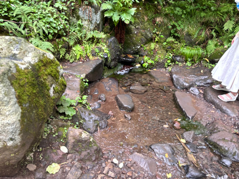 Rishirito Natural Recreation Forest Hokuroku Camp Site-利尻富士町必去景点