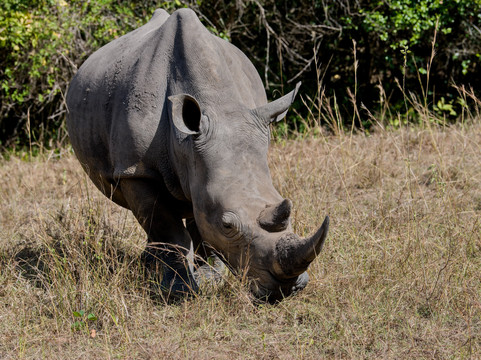 Native Africa Tours-坎帕拉必去景点