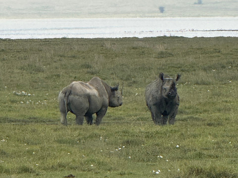 Masumin car hire & safaris-姆万扎必去景点