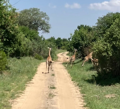 Otto Safari Guide Tanzania-Kibaha必去景点