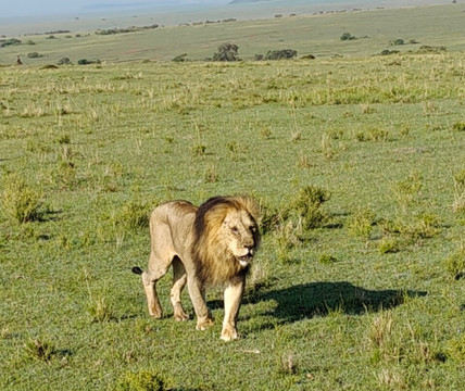 Destinex Travels-内罗毕必去景点