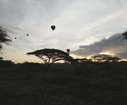 The Tanzanite Experience-阿鲁沙必去景点