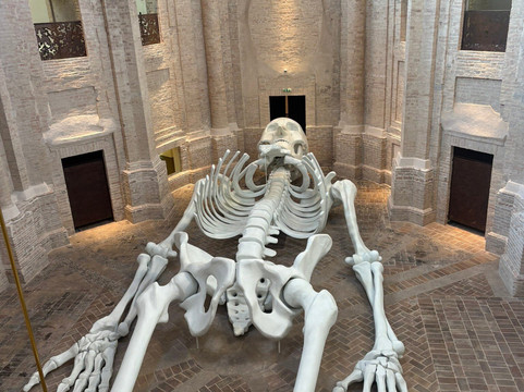 Calamita Cosmica - Centro Italiano Arte Contemporanea-福利尼奥必去景点