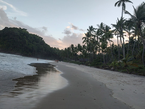 巴伊亚州环保度假酒店主图