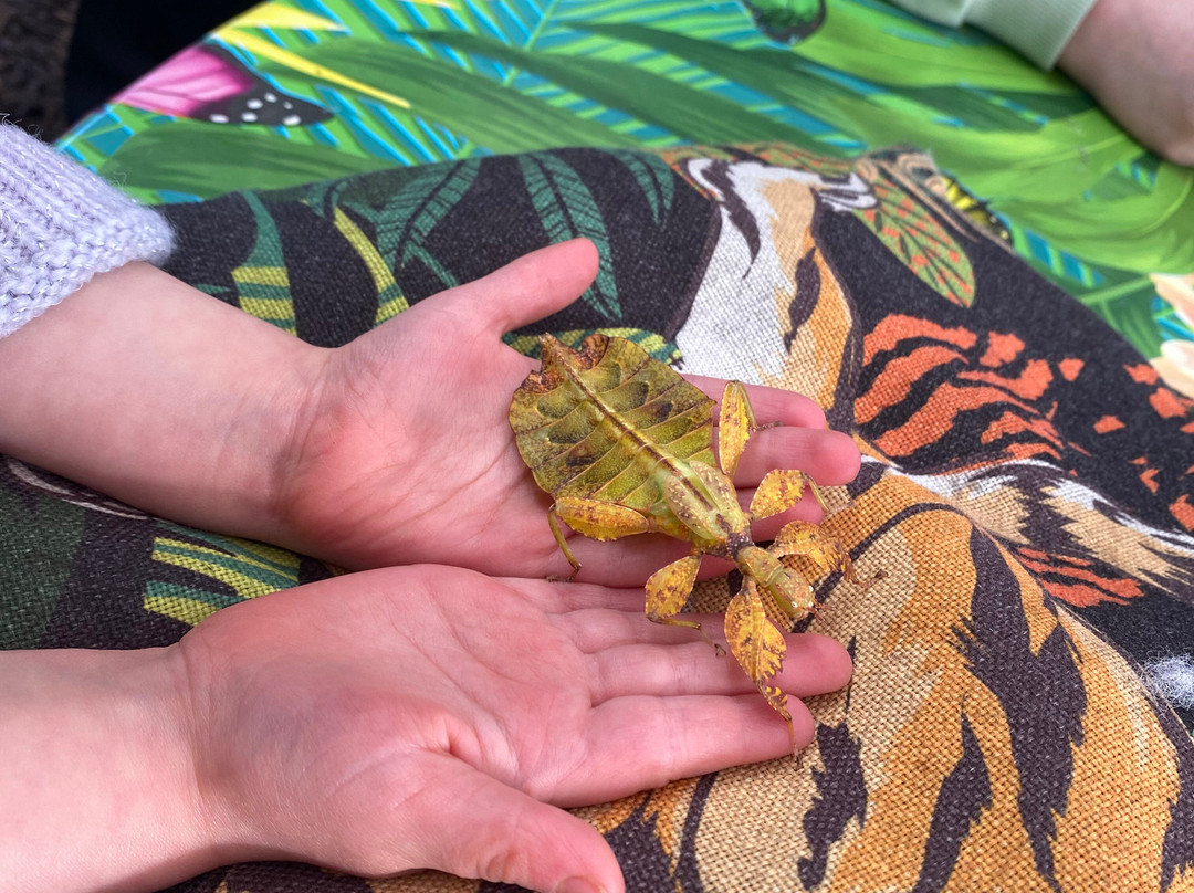 Butterfly Gardens @ Middleton Common Farm-Westmeston必去景点