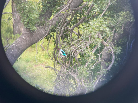 Legend Safaris-雾观必去景点