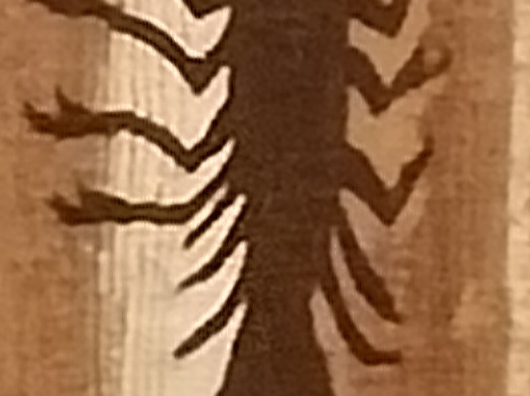 Museo Parroquial-Pastrana必去景点