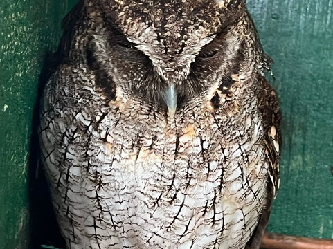 Jungla de Panama Wildlife Refuge-波魁特必去景点